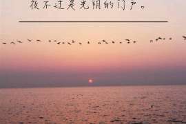 兴海侦探调查