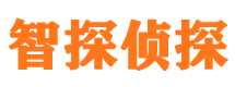 兴海侦探公司